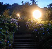 CgAbvꂽ