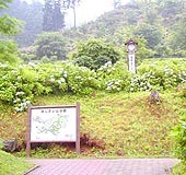 ʁELt