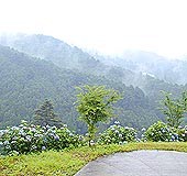 炵Ei