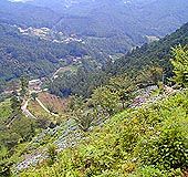 炵Ei