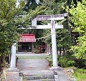 Zg_