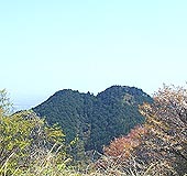 zR