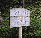 RɓdM̕