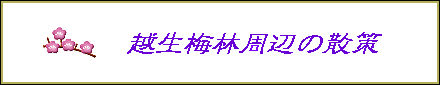 z~юӂ̎U