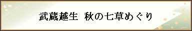 z H̎߂